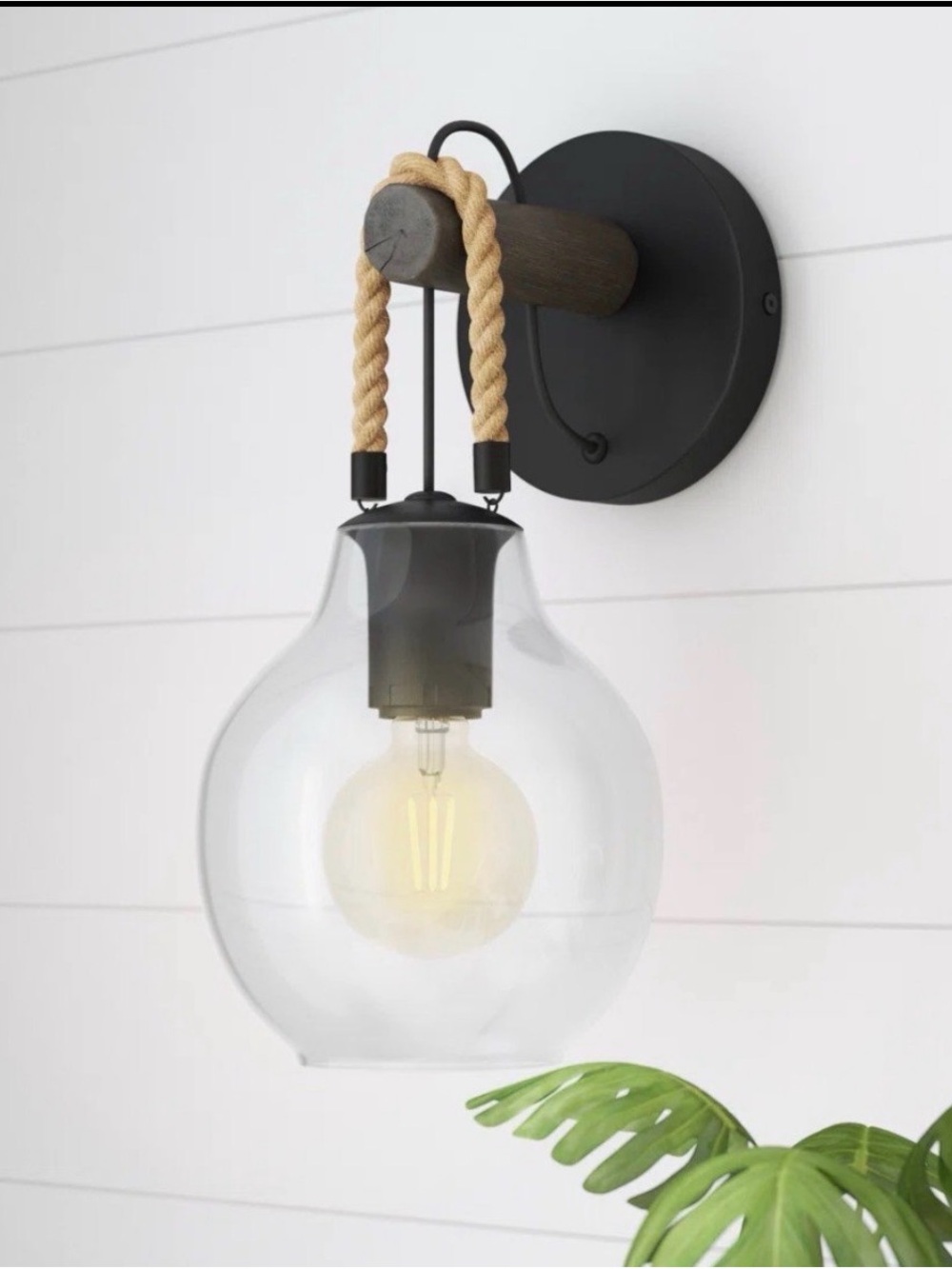 Rope Accent Glass Globe Wall Sconce - Black and Natural